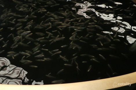 Property photo of 123 Bob Road Mourilyan Harbour QLD 4858