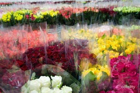 255-257 Dandenong Rd, Prahran, VIC 3181