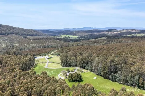 98 Settlement Rd, Flowery Gully, TAS 7270