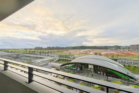 1 Themeda Ave, Tallawong, NSW 2762