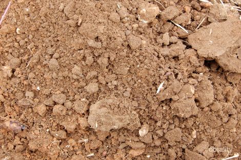 132 Railway Tce, Coonalpyn, SA 5265