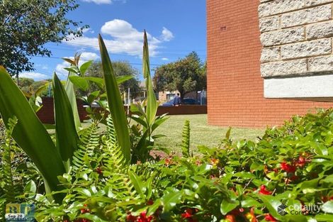Property photo of 2/51-53 Loftus Street Campsie NSW 2194