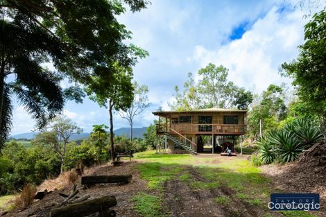 Property photo of 345 Riordanvale Road Riordanvale QLD 4800