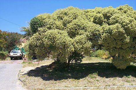 31 Healy Rd, Hamilton Hill, WA 6163