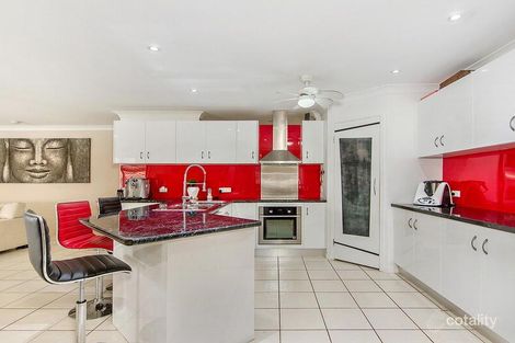Property photo of 51 Conebush Circuit Ormeau QLD 4208