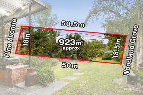 Property photo of 15 Pine Avenue Briar Hill VIC 3088