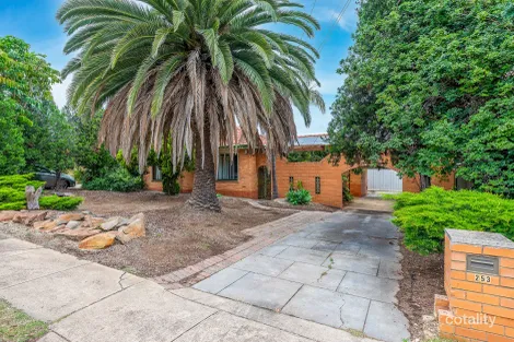 253 Wright Rd, Valley View, SA 5093