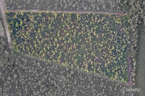 Property photo of 285 Threadfin Road Dundee Downs NT 0840