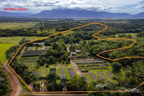 Property photo of 508 Dinner Creek Road Eubenangee QLD 4860