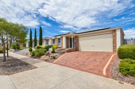 46 Serafino Dr, Noarlunga Downs, SA 5168