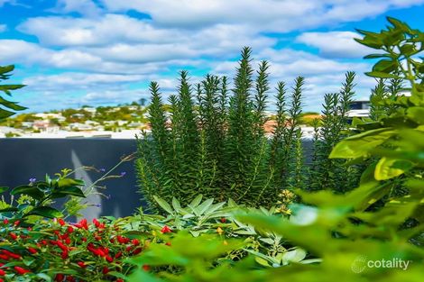 Property photo of 509/31 Longland Street Newstead QLD 4006