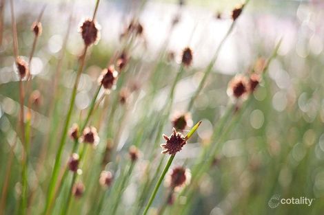 Lot 1317 Wallara Waters Bvd, Wallan, VIC 3756