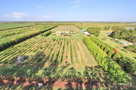 Property photo of 362 Dahls Road Calavos QLD 4670