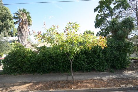 Property photo of 35 Castle Street Edwardstown SA 5039