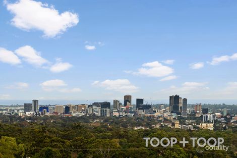 Property photo of 44 Rawson Penfold Drive Rosslyn Park SA 5072