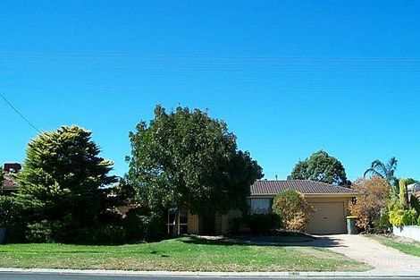 20 Haddington St, Beldon, WA 6027