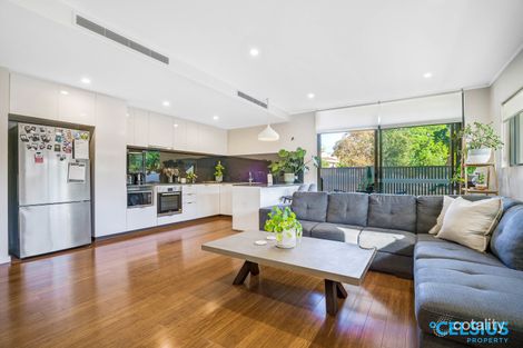 Property photo of 1/484 Fitzgerald Street North Perth WA 6006