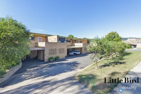 4/49 Lambrigg St, Farrer, ACT 2607