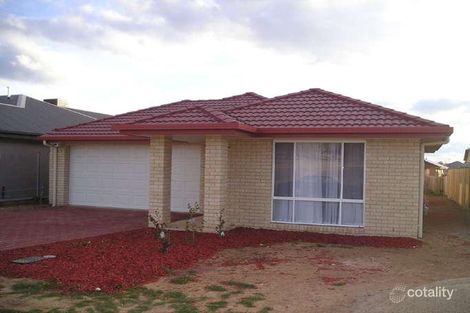 Property photo of 80 Megalong Crescent Harrison ACT 2914