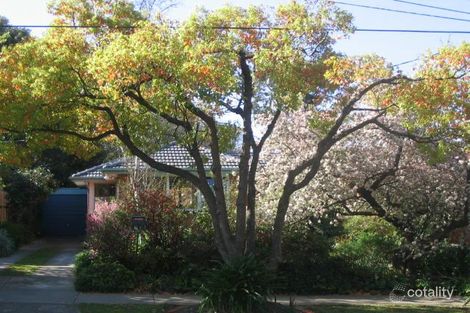 67 Edinburgh Rd, Blackburn South, VIC 3130