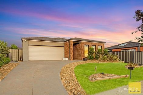 Property photo of 35 Rifflebird Drive Tarneit VIC 3029