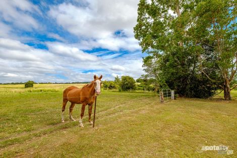 Property photo of 32 Vantage Road Chatsworth QLD 4570