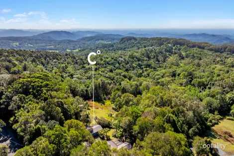 Property photo of 107 Repeater Station Road Springbrook QLD 4213