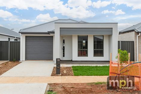 Property photo of 20 Steve Street Munno Para SA 5115