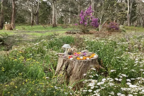 Property photo of 425 Scoullers Road Carpendeit VIC 3260