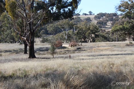 Property photo of 1929 O'Connell Road O'Connell NSW 2795