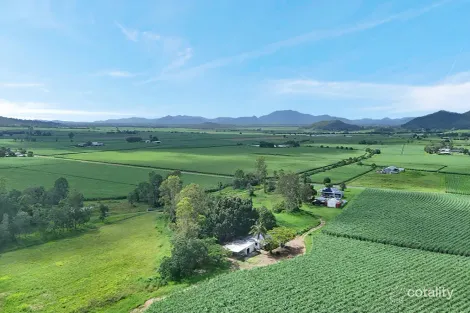 Property photo of 988 Mount Martin Loop Road Mount Martin QLD 4754