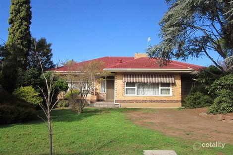 Property photo of 15 Walker Avenue Paradise SA 5075