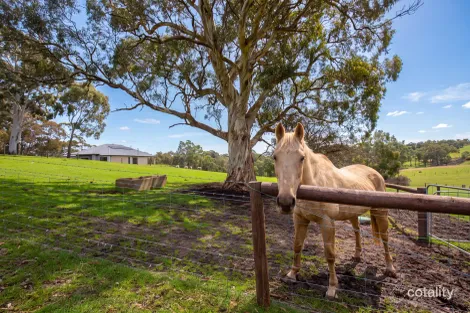 Property photo of 9 Summit Road Meadows SA 5201
