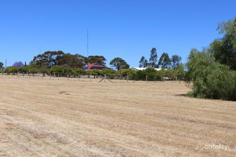 Property photo of 23 Dalzell Road Cadell SA 5321