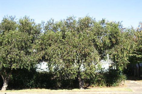 Property photo of 50 Eglington Street Lidcombe NSW 2141