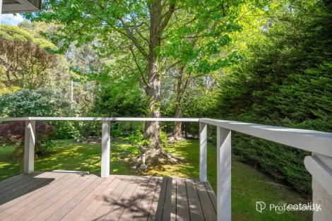 Property photo of 134 Wonga Road Millgrove VIC 3799