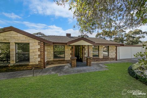 10 Hutt Pl, Modbury Heights, SA 5092