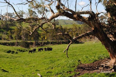 80 Kongwak Rd, Kongwak, VIC 3951