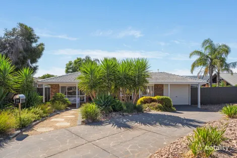19 Laredo Ct, Wynn Vale, SA 5127