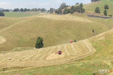 369 Ferndale-Strzelecki Rd, Ferndale, VIC 3821