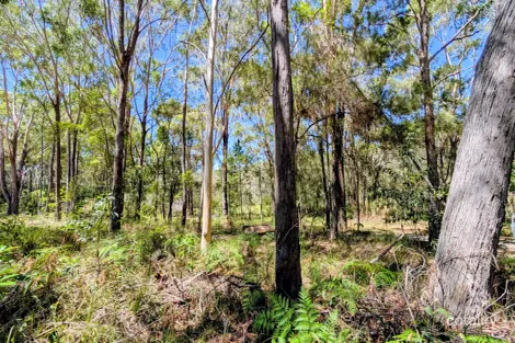 2 Canopy Cres, Russell Island, QLD 4184