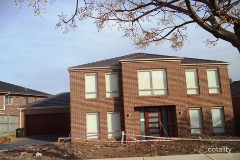 Property photo of 21 Lewins Rail Avenue South Morang VIC 3752
