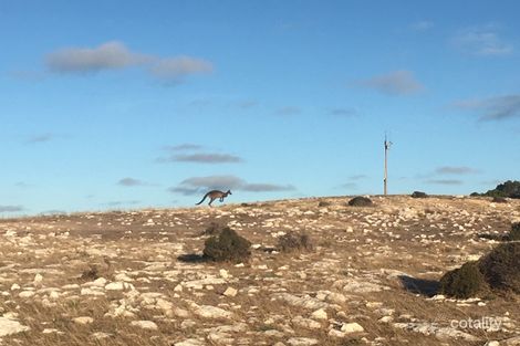 Property photo of 5133A Hog Bay Road Penneshaw SA 5222