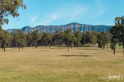 Property photo of 694 Hermitage Road Pokolbin NSW 2320
