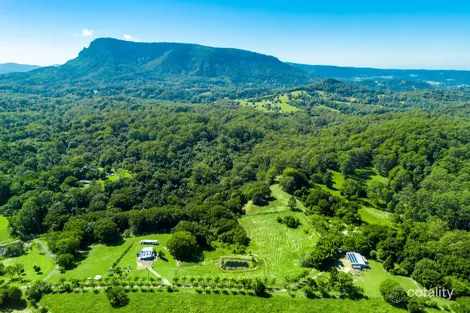 61 Tallowood Rd, Lillian Rock, NSW 2480