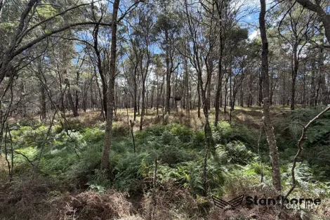 Lot 143 Blackbutt Rd, Sugarloaf, QLD 4380