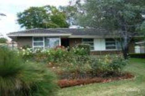 Property photo of 13 Pinaster Street Menora WA 6050