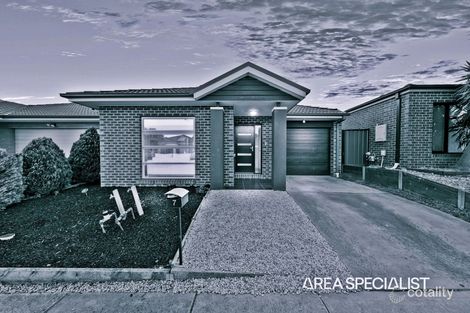 Property photo of 7 Hackney Circuit Clyde North VIC 3978