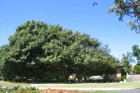 51 Cawley St, Bellambi, NSW 2518