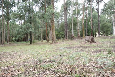 237 Big Pats Creek Rd, Big Pats Creek, VIC 3799